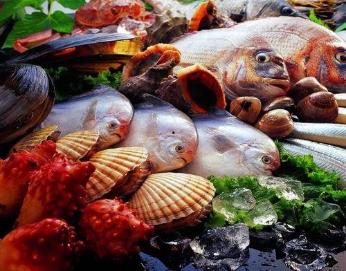 大国海鲜爆料视频大全,揭秘视频大全中的海洋美味之旅